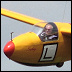 Uživatelský avatar