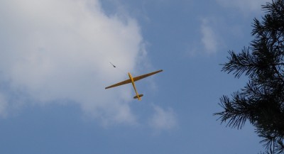 18_geier2_7588.JPG