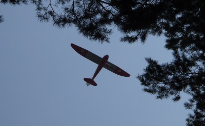 23_t21_7650.JPG