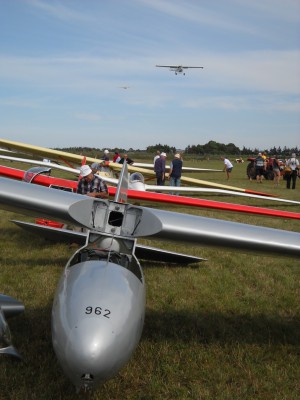 mDSCN8486.JPG