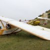 Rana80