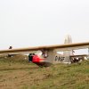 Rana80