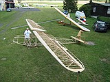 2011_07_Rana_gal